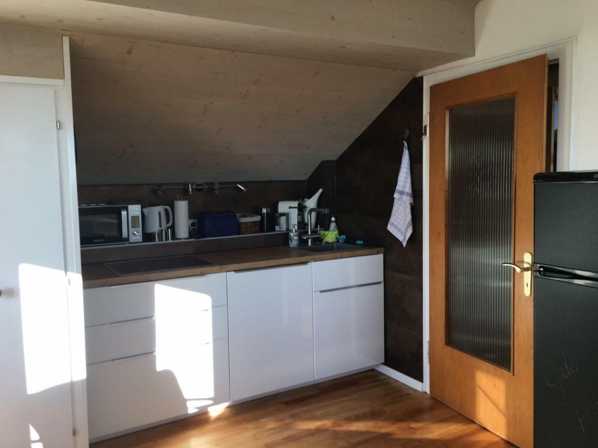 Alpenpanorama Am Hochrhein Villa Gailingen Kültér fotó