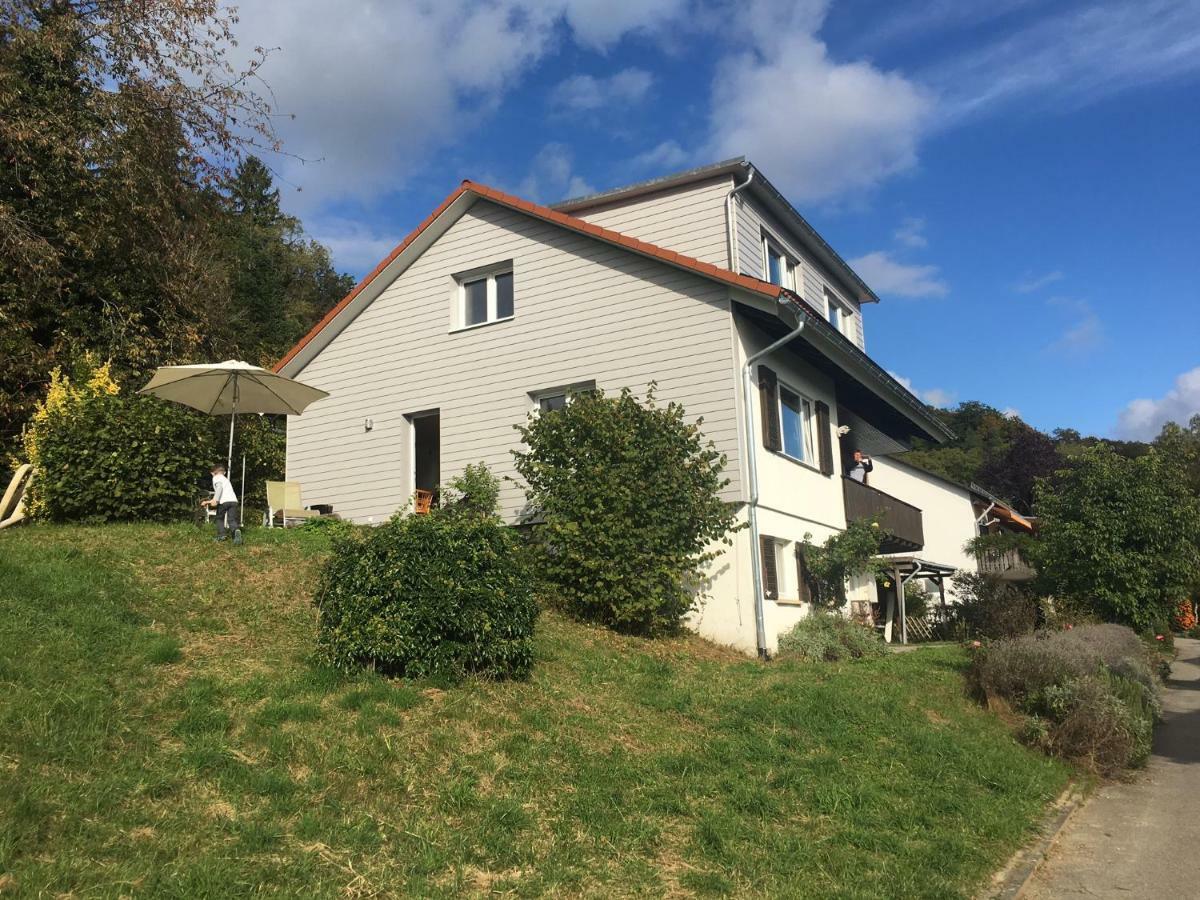 Alpenpanorama Am Hochrhein Villa Gailingen Kültér fotó