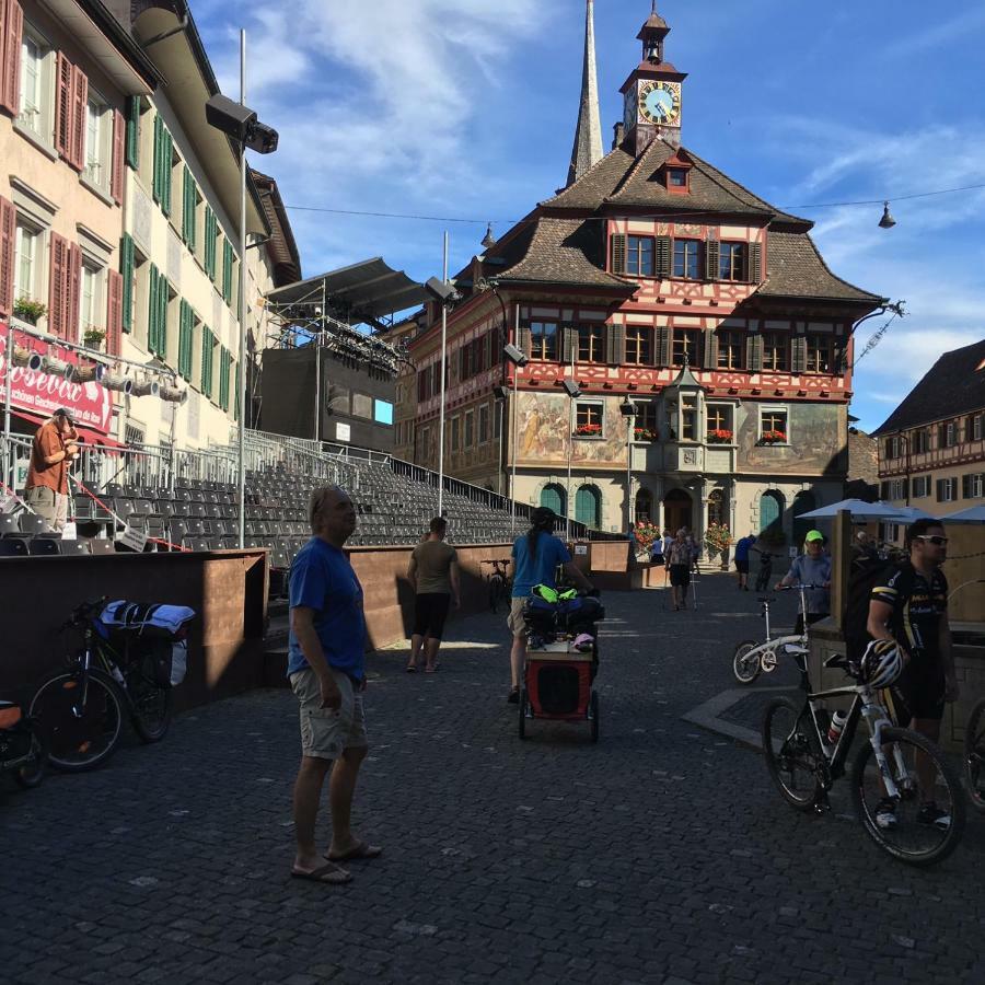 Alpenpanorama Am Hochrhein Villa Gailingen Kültér fotó