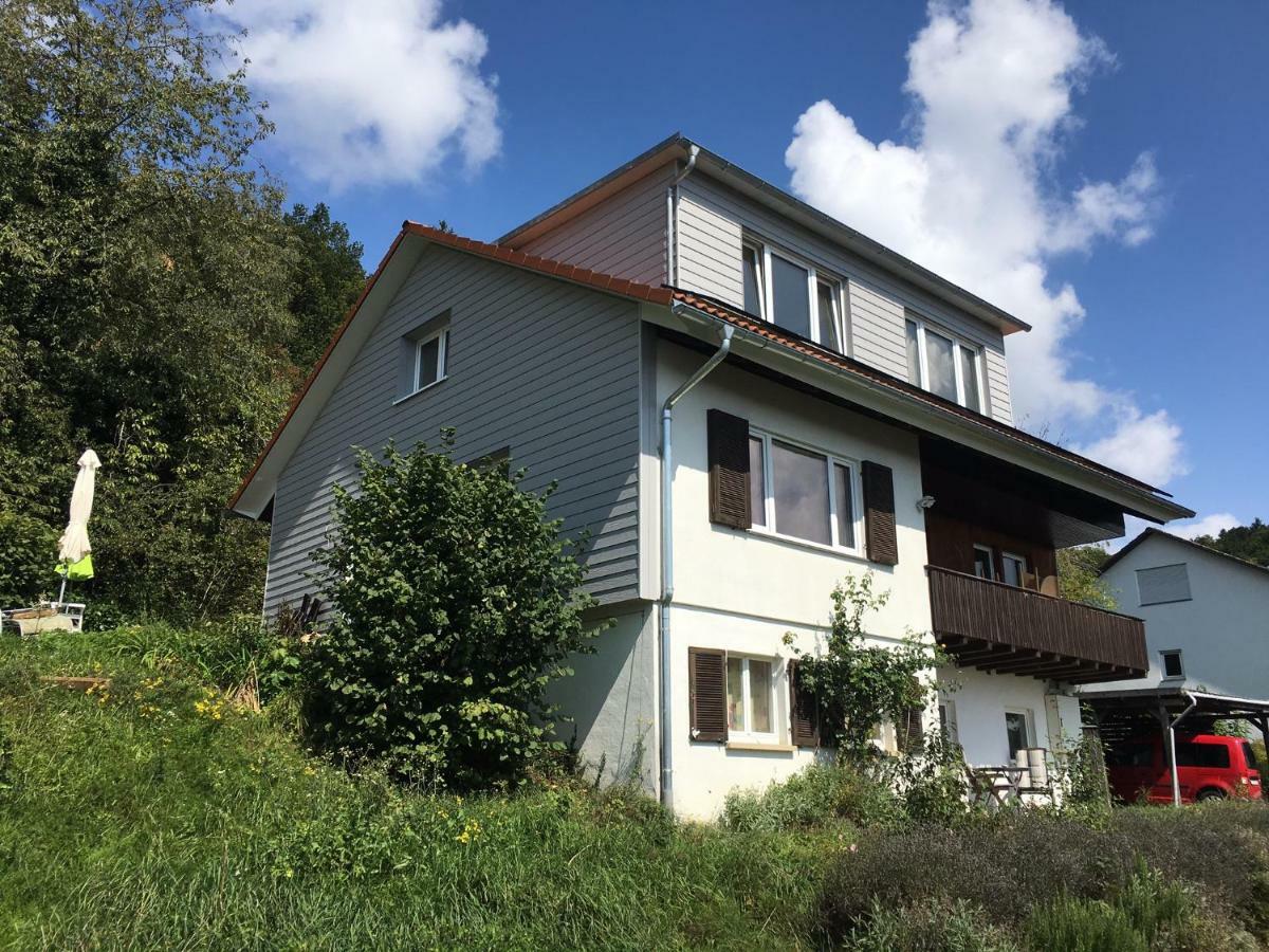 Alpenpanorama Am Hochrhein Villa Gailingen Kültér fotó