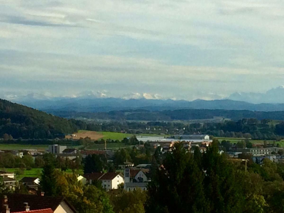 Alpenpanorama Am Hochrhein Villa Gailingen Kültér fotó