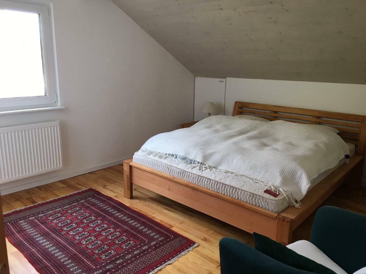 Alpenpanorama Am Hochrhein Villa Gailingen Kültér fotó